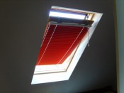 PROTEX BLINDS -  -  