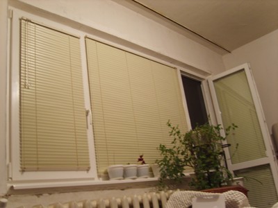PROTEX BLINDS