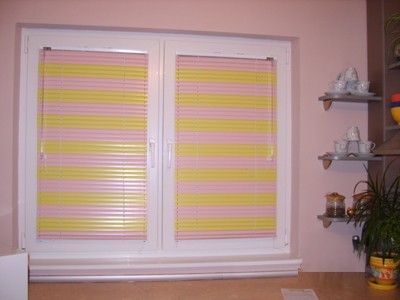 PROTEX BLINDS